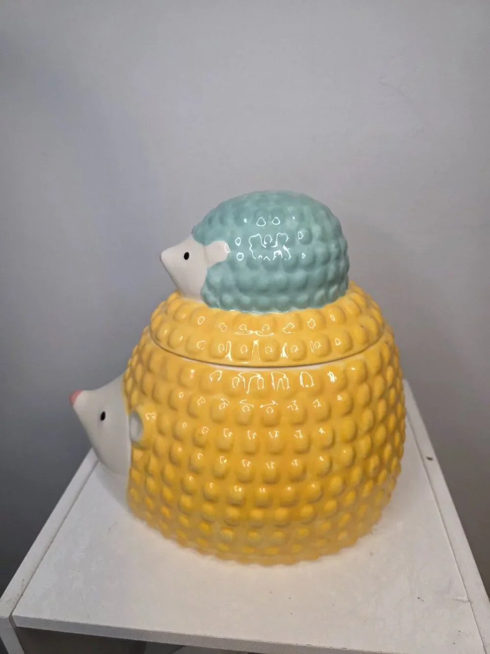 Pier 1 Hedgehog Momma and Baby Cookie Jar Flower Whimiscal